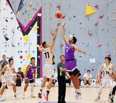 浙江队副总：除米特里策外，其他外援的去留都需再三权衡